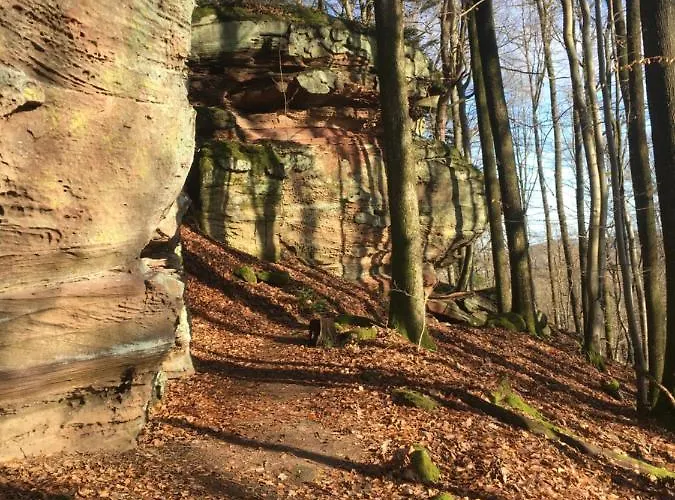 Casa Palatina Apartament *