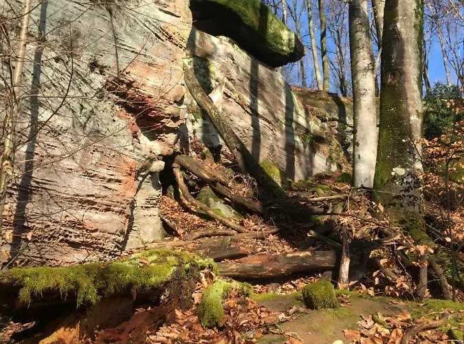 Apartament Casa Palatina *