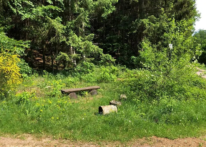 Apartament Casa Palatina *